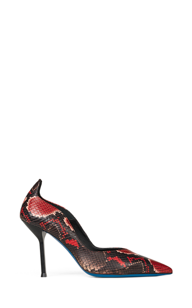 Pitone rosso